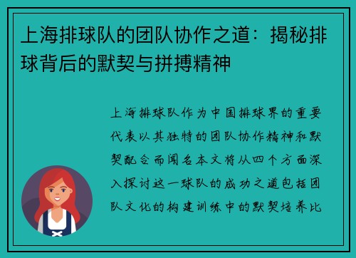 上海排球队的团队协作之道：揭秘排球背后的默契与拼搏精神